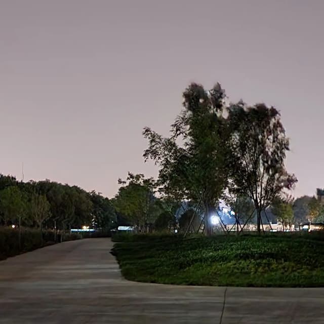 Cover of Paths, Trees, and Flowers