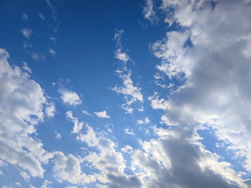 Cover of …And the clouds painted the sky